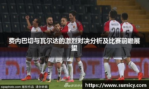 费内巴切与瓦尔达的激烈对决分析及比赛前瞻展望