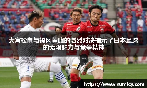 中欧体育