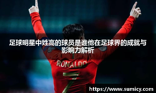 足球明星中姓高的球员是谁他在足球界的成就与影响力解析