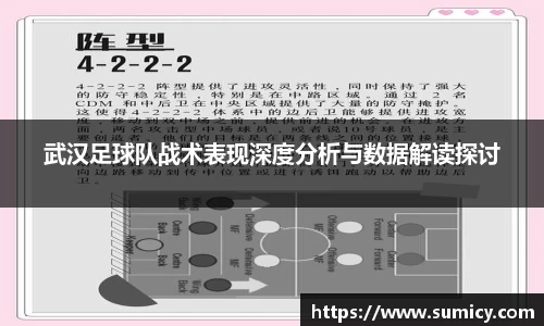 武汉足球队战术表现深度分析与数据解读探讨
