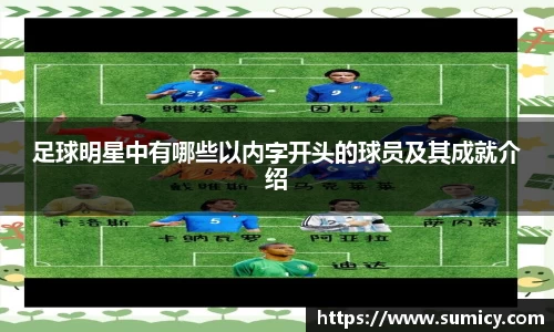 足球明星中有哪些以内字开头的球员及其成就介绍