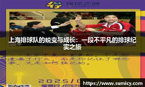 上海排球队的蜕变与成长：一段不平凡的排球纪实之旅
